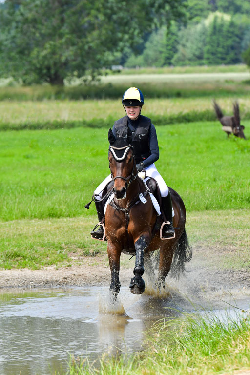 Goldene Schärpe PFerde  in Löningen  11+12.6.22 | 11062022 - Gelände 1 Abt_1102 