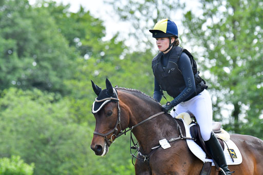Goldene Schärpe PFerde  in Löningen  11+12.6.22 | 11062022 - Gelände 1 Abt_1112 