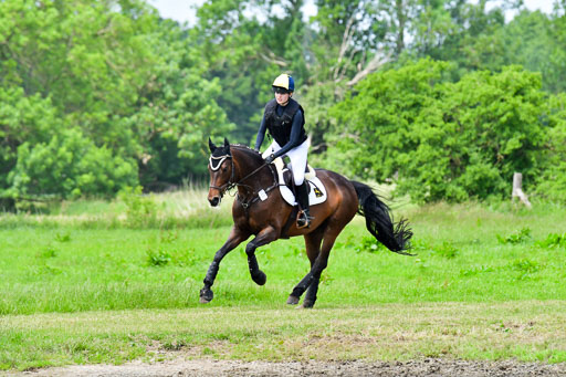 Goldene Schärpe PFerde  in Löningen  11+12.6.22 | 11062022 - Gelände 1 Abt_1113 