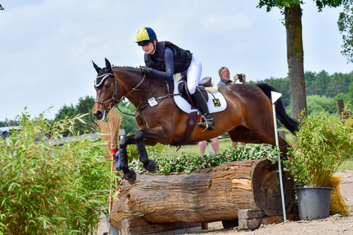 Goldene Schärpe PFerde  in Löningen  11+12.6.22 | 11062022 - Gelände 1 Abt_1118 