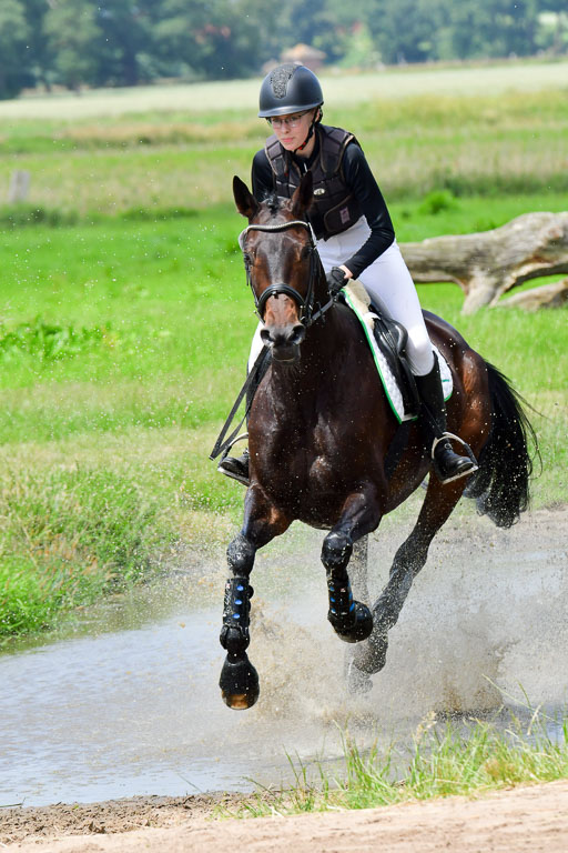 Goldene Schärpe PFerde  in Löningen  11+12.6.22 | 11062022 - Gelände 1 Abt_1150 