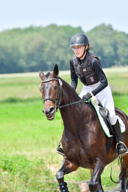 Goldene Schärpe PFerde  in Löningen  11+12.6.22 | 11062022 - Gelände 1 Abt_1152 