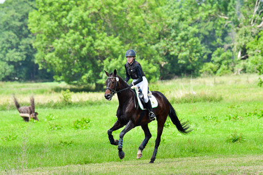 Goldene Schärpe PFerde  in Löningen  11+12.6.22 | 11062022 - Gelände 1 Abt_1159 