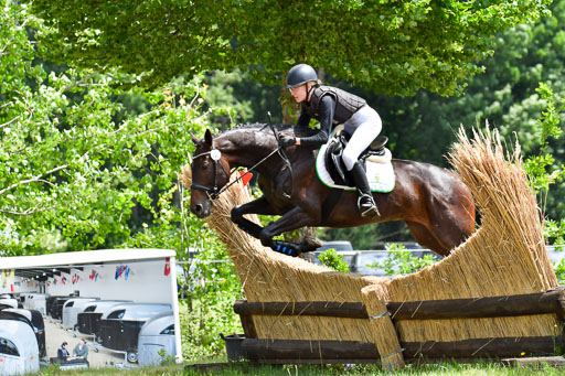 Goldene Schärpe PFerde  in Löningen  11+12.6.22 | 11062022 - Gelände 1 Abt_1164 