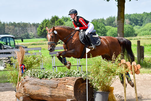 Goldene Schärpe PFerde  in Löningen  11+12.6.22 | 11062022 - Gelände 1 Abt_1181 