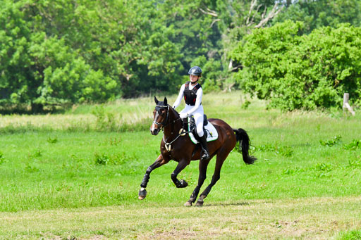 Goldene Schärpe PFerde  in Löningen  11+12.6.22 | 11062022 - Gelände 1 Abt_1205 