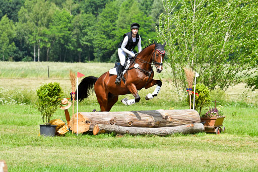 Goldene Schärpe PFerde  in Löningen  11+12.6.22 | 11062022 - Gelände 1 Abt_1243 