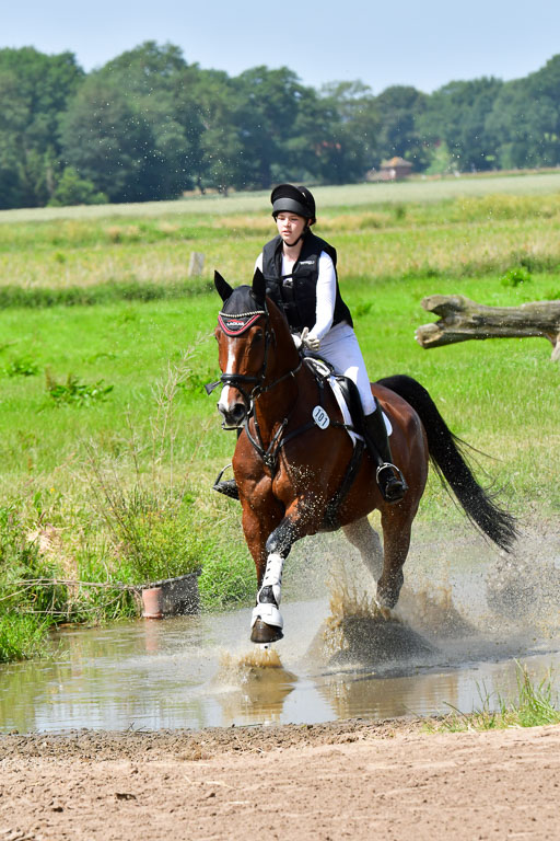 Goldene Schärpe PFerde  in Löningen  11+12.6.22 | 11062022 - Gelände 1 Abt_1254 