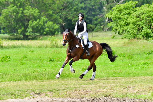 Goldene Schärpe PFerde  in Löningen  11+12.6.22 | 11062022 - Gelände 1 Abt_1260 