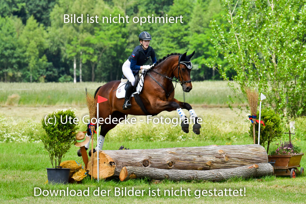 Goldene Schärpe PFerde  in Löningen  11+12.6.22 | 11062022 - Gelände 1 Abt 