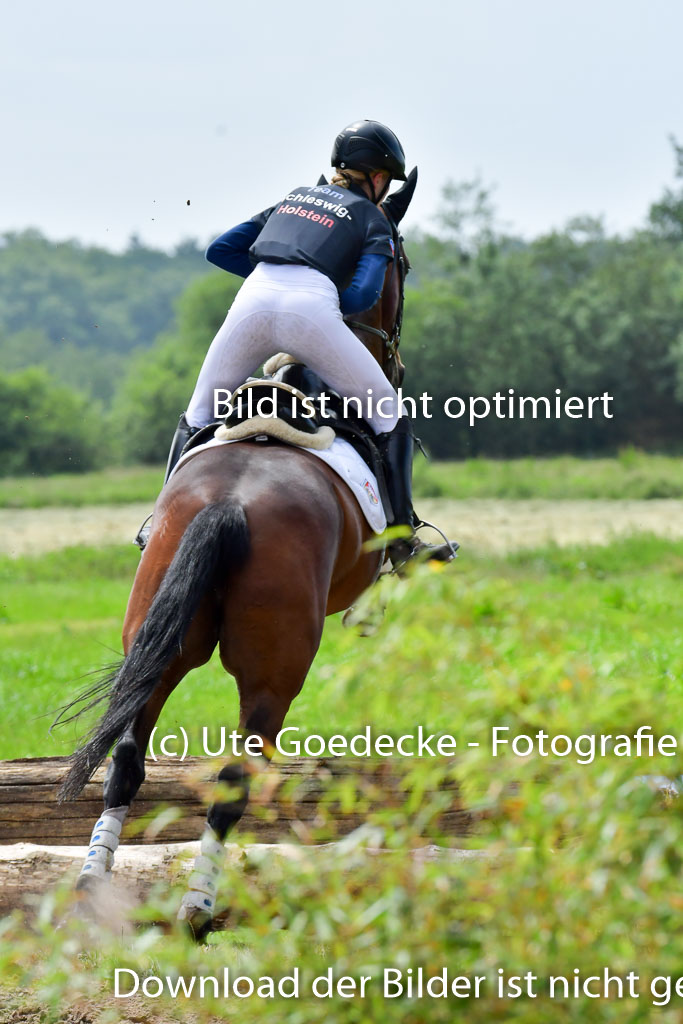 Goldene Schärpe PFerde  in Löningen  11+12.6.22 | 11062022 - Gelände 10 Abt