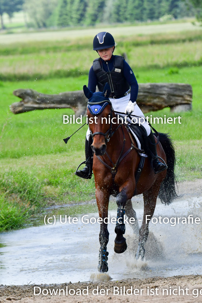 Goldene Schärpe PFerde  in Löningen  11+12.6.22 | 11062022 - Gelände 100 Abt