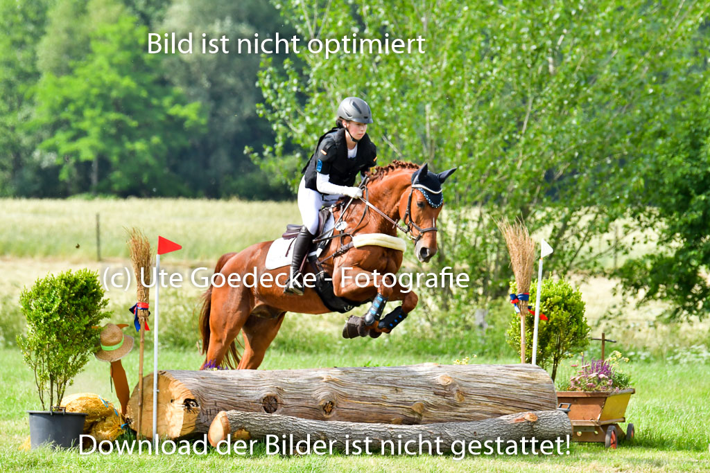 Goldene Schärpe PFerde  in Löningen  11+12.6.22 | 11062022 - Gelände 1000 Abt