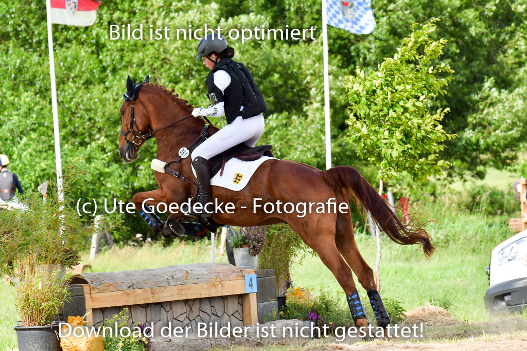 Goldene Schärpe PFerde  in Löningen  11+12.6.22 | 11062022 - Gelände 1001 Abt