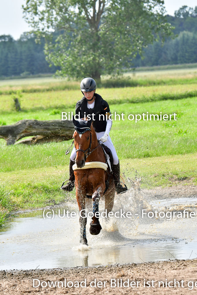 Goldene Schärpe PFerde  in Löningen  11+12.6.22 | 11062022 - Gelände 1007 Abt 