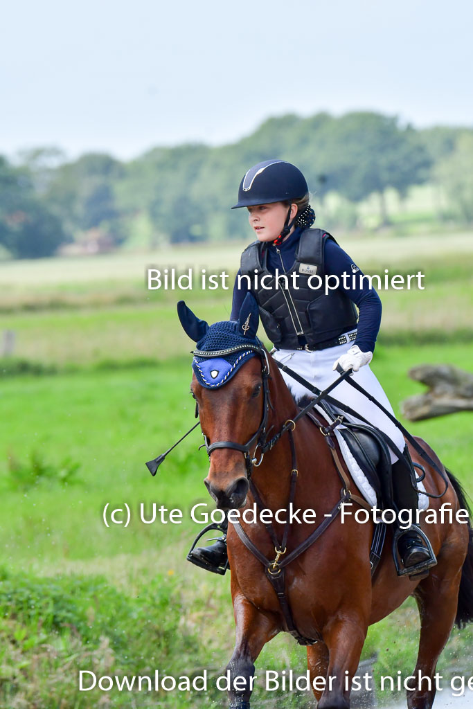 Goldene Schärpe PFerde  in Löningen  11+12.6.22 | 11062022 - Gelände 101 Abt