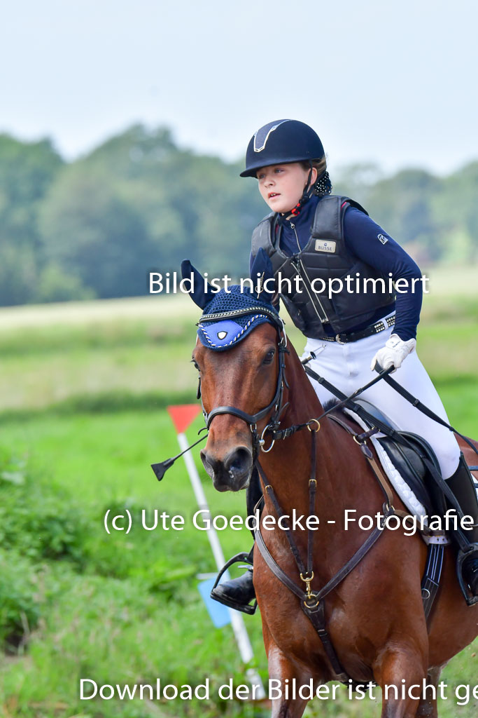 Goldene Schärpe PFerde  in Löningen  11+12.6.22 | 11062022 - Gelände 102 Abt