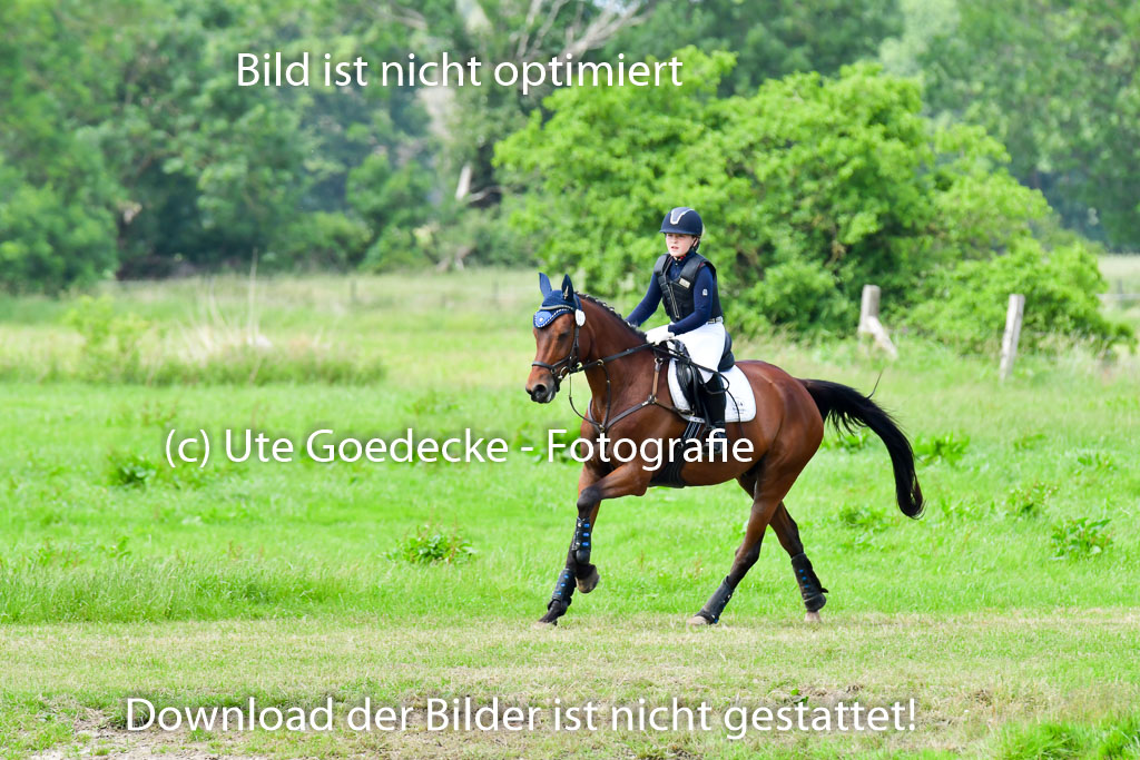 Goldene Schärpe PFerde  in Löningen  11+12.6.22 | 11062022 - Gelände 105 Abt