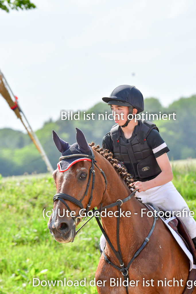 Goldene Schärpe PFerde  in Löningen  11+12.6.22 | 11062022 - Gelände 1054 Abt 