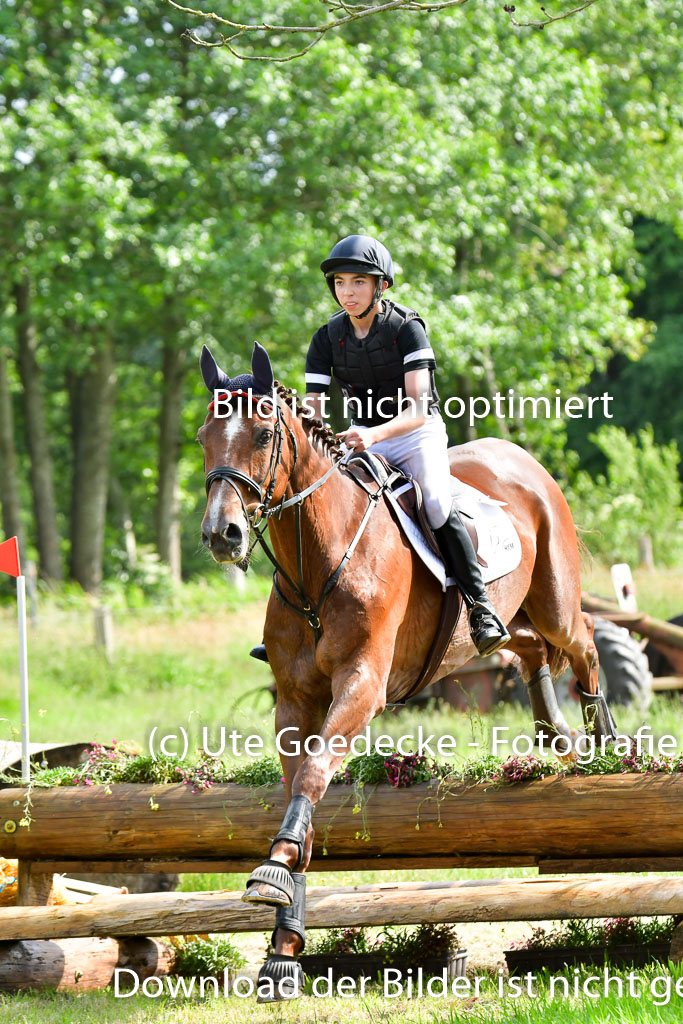 Goldene Schärpe PFerde  in Löningen  11+12.6.22 | 11062022 - Gelände 1058 Abt 