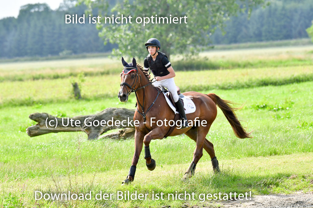 Goldene Schärpe PFerde  in Löningen  11+12.6.22 | 11062022 - Gelände 1060 Abt 