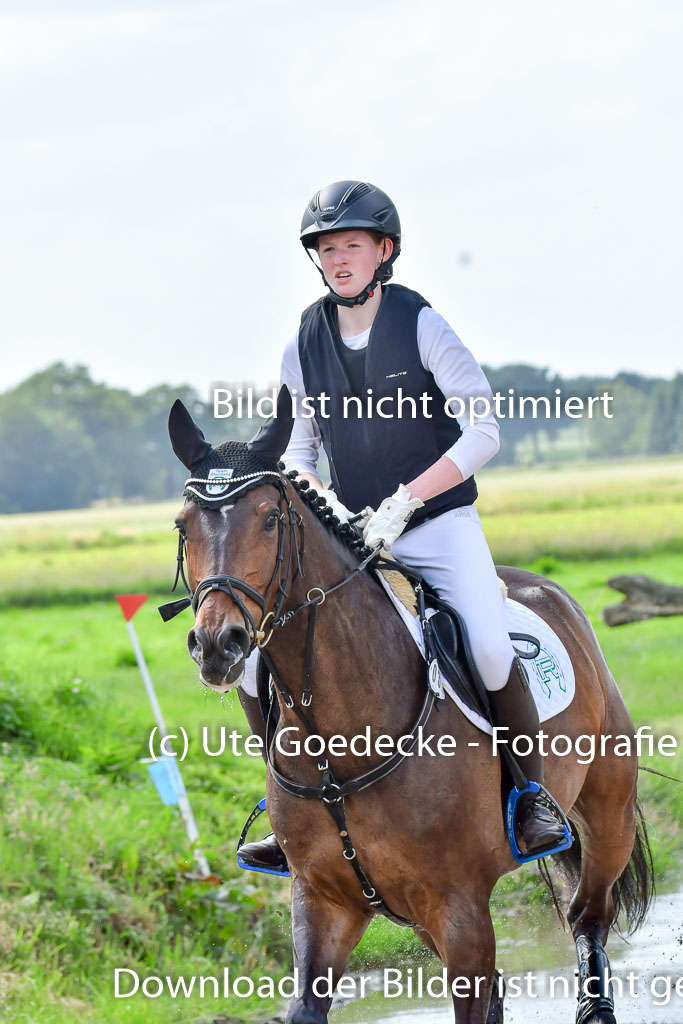 Goldene Schärpe PFerde  in Löningen  11+12.6.22 | 11062022 - Gelände 1075 Abt 