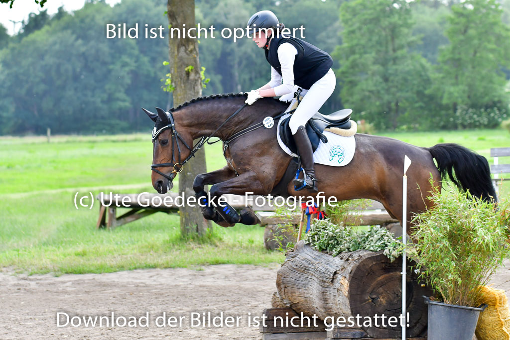 Goldene Schärpe PFerde  in Löningen  11+12.6.22 | 11062022 - Gelände 1083 Abt 