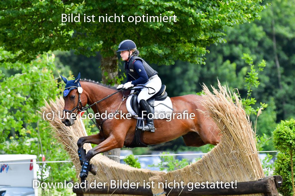 Goldene Schärpe PFerde  in Löningen  11+12.6.22 | 11062022 - Gelände 109 Abt