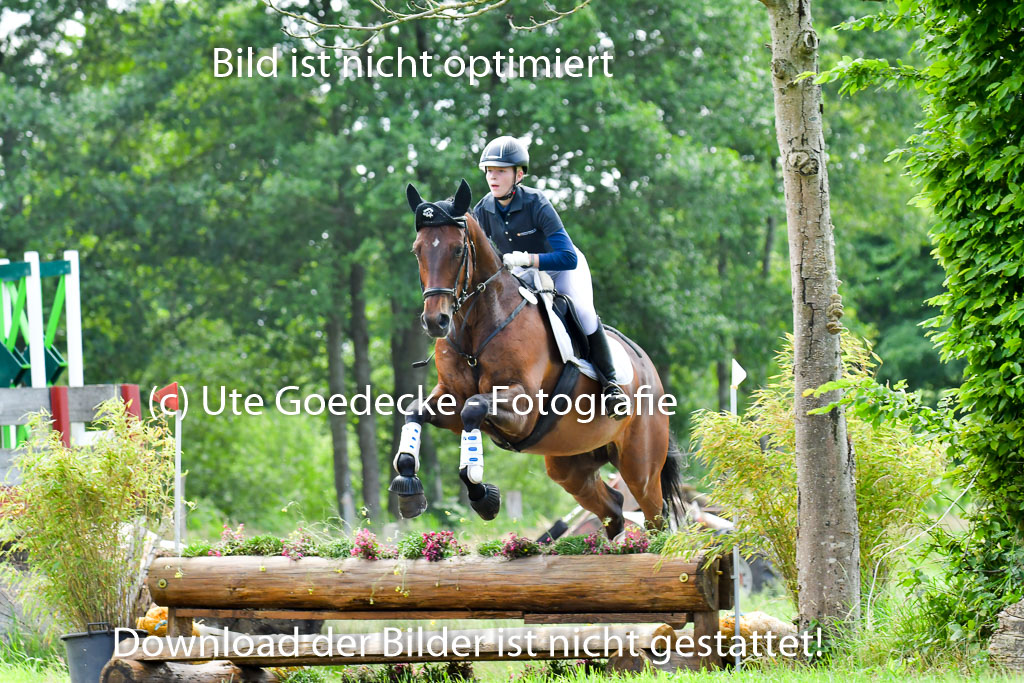 Goldene Schärpe PFerde  in Löningen  11+12.6.22 | 11062022 - Gelände 11 Abt