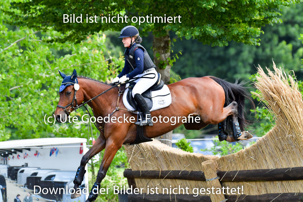 Goldene Schärpe PFerde  in Löningen  11+12.6.22 | 11062022 - Gelände 110 Abt