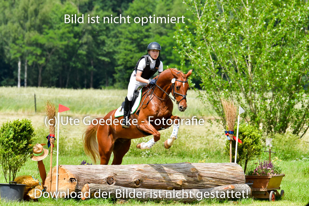 Goldene Schärpe PFerde  in Löningen  11+12.6.22 | 11062022 - Gelände 112 Abt