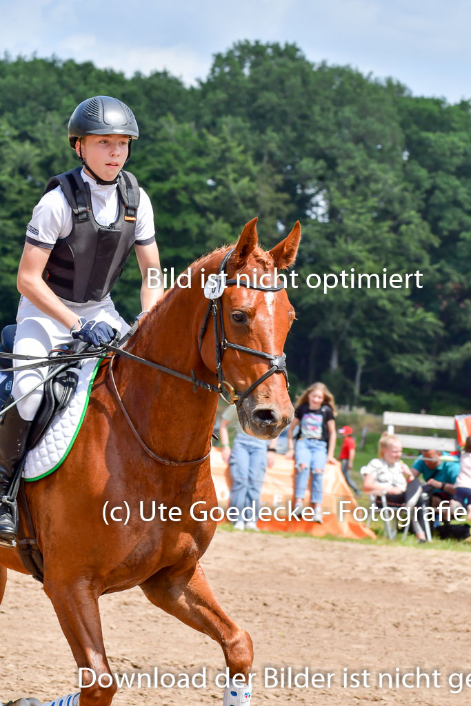 Goldene Schärpe PFerde  in Löningen  11+12.6.22 | 11062022 - Gelände 115 Abt