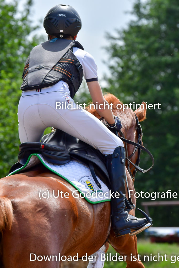 Goldene Schärpe PFerde  in Löningen  11+12.6.22 | 11062022 - Gelände 117 Abt