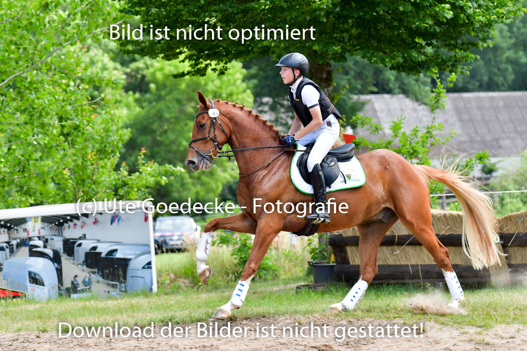 Goldene Schärpe PFerde  in Löningen  11+12.6.22 | 11062022 - Gelände 119 Abt