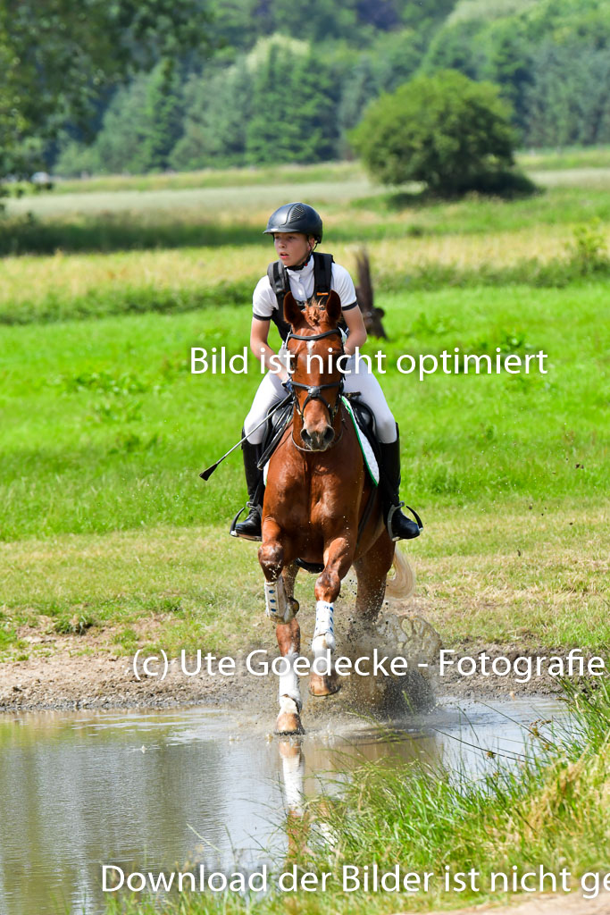 Goldene Schärpe PFerde  in Löningen  11+12.6.22 | 11062022 - Gelände 121 Abt
