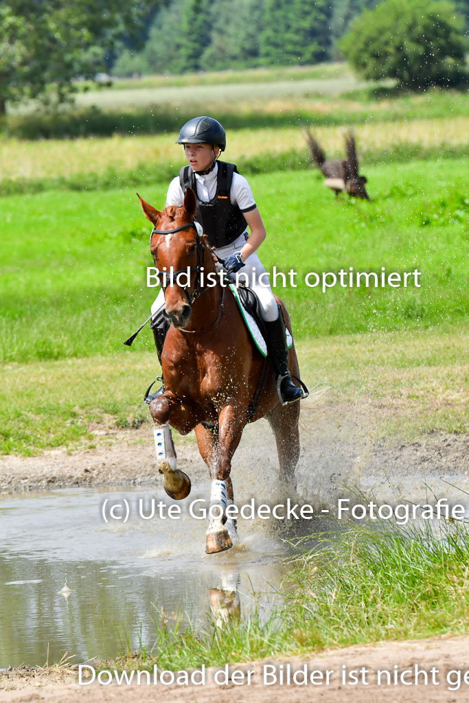 Goldene Schärpe PFerde  in Löningen  11+12.6.22 | 11062022 - Gelände 123 Abt