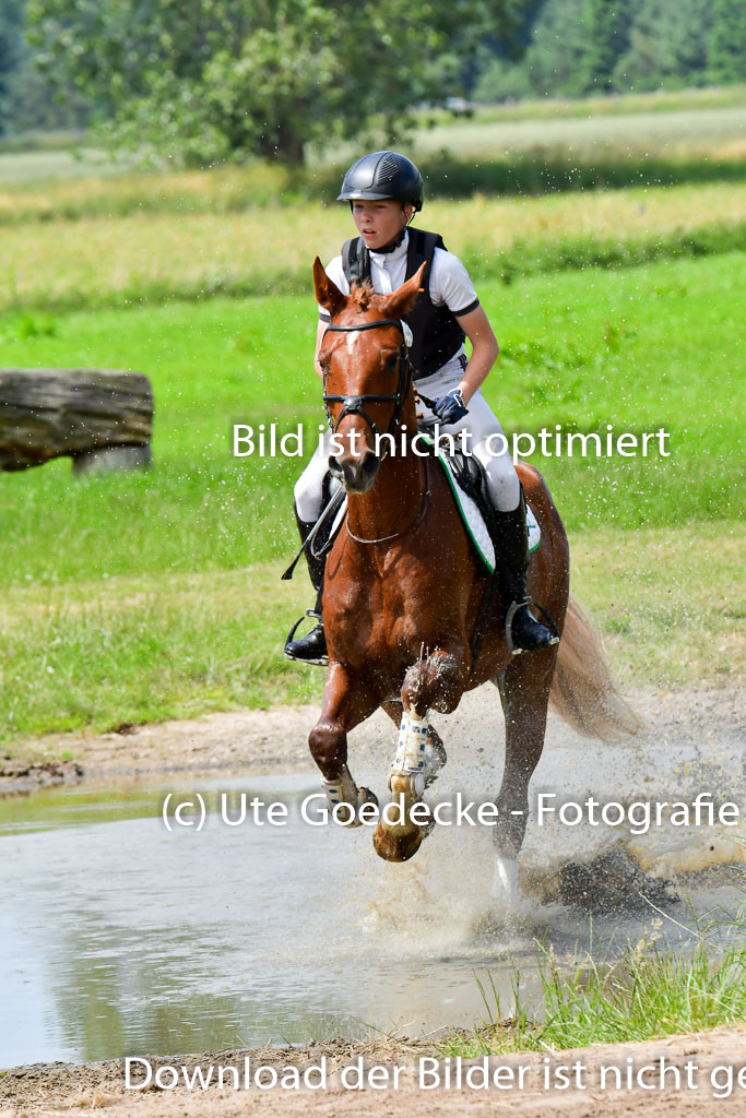 Goldene Schärpe PFerde  in Löningen  11+12.6.22 | 11062022 - Gelände 124 Abt