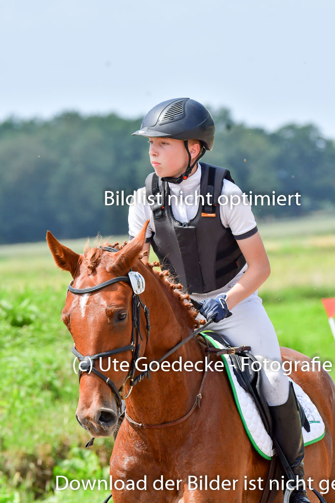 Goldene Schärpe PFerde  in Löningen  11+12.6.22 | 11062022 - Gelände 127 Abt