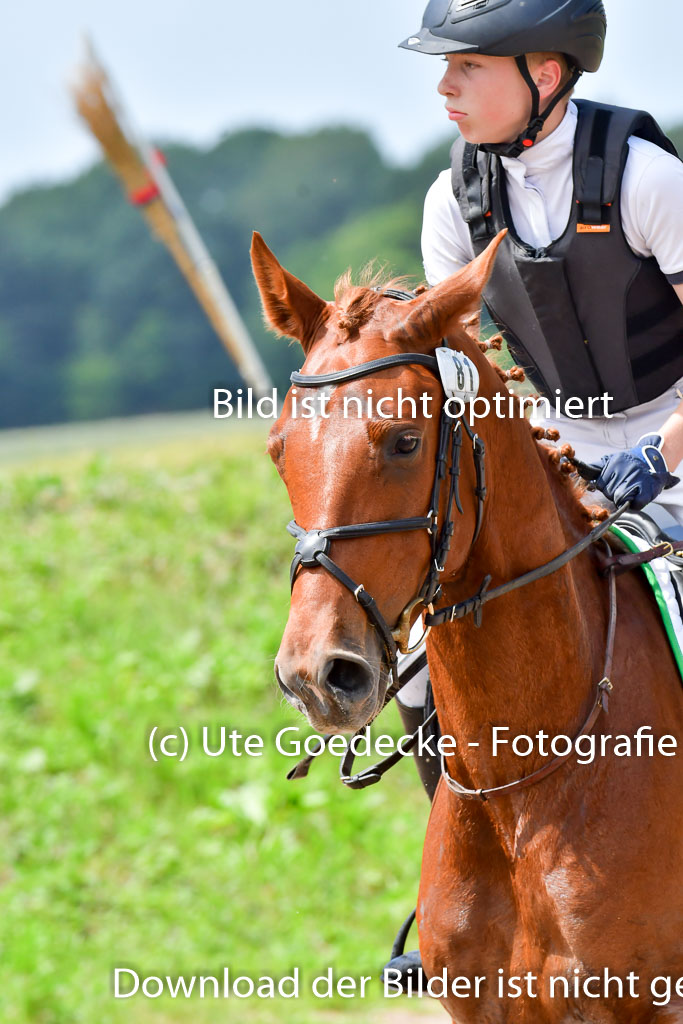 Goldene Schärpe PFerde  in Löningen  11+12.6.22 | 11062022 - Gelände 128 Abt