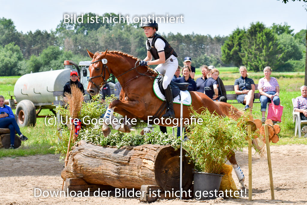 Goldene Schärpe PFerde  in Löningen  11+12.6.22 | 11062022 - Gelände 135 Abt