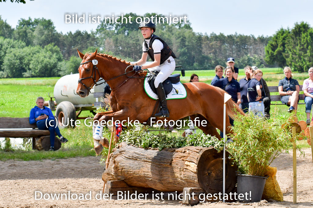 Goldene Schärpe PFerde  in Löningen  11+12.6.22 | 11062022 - Gelände 136 Abt