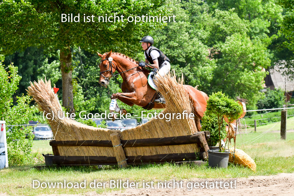 Goldene Schärpe PFerde  in Löningen  11+12.6.22 | 11062022 - Gelände 137 Abt