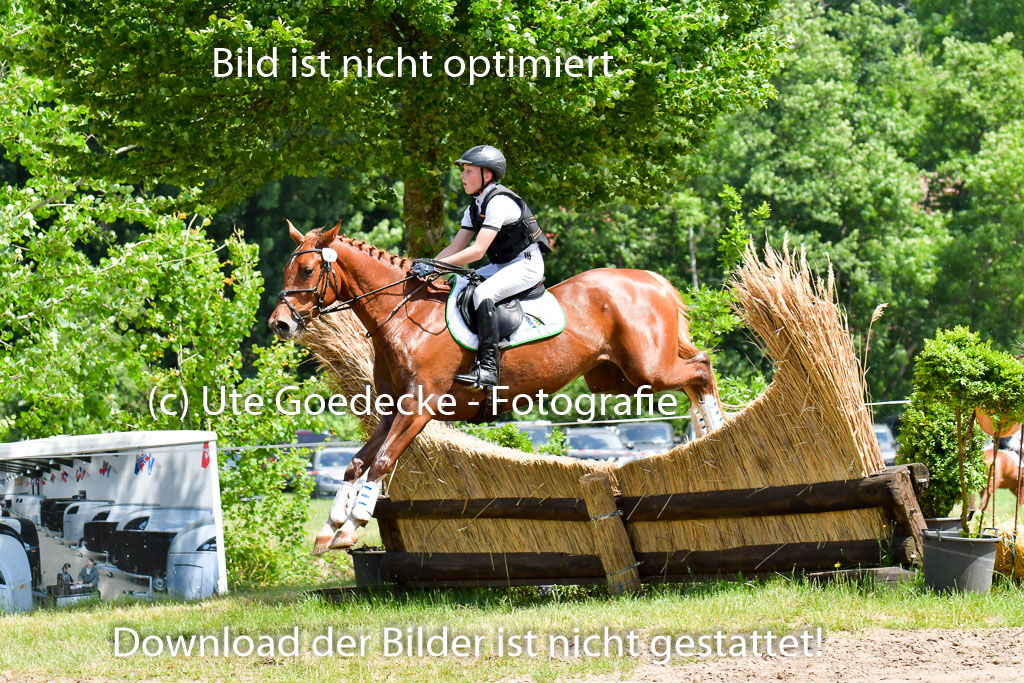 Goldene Schärpe PFerde  in Löningen  11+12.6.22 | 11062022 - Gelände 139 Abt