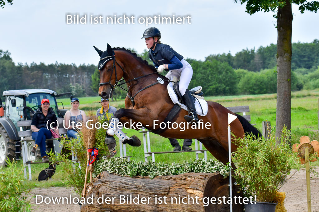 Goldene Schärpe PFerde  in Löningen  11+12.6.22 | 11062022 - Gelände 14 Abt 