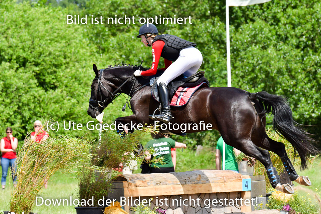Goldene Schärpe PFerde  in Löningen  11+12.6.22 | 11062022 - Gelände 142 Abt