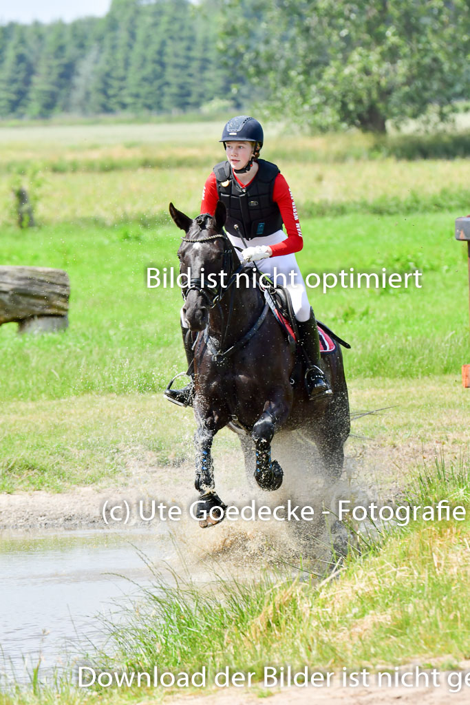 Goldene Schärpe PFerde  in Löningen  11+12.6.22 | 11062022 - Gelände 143 Abt