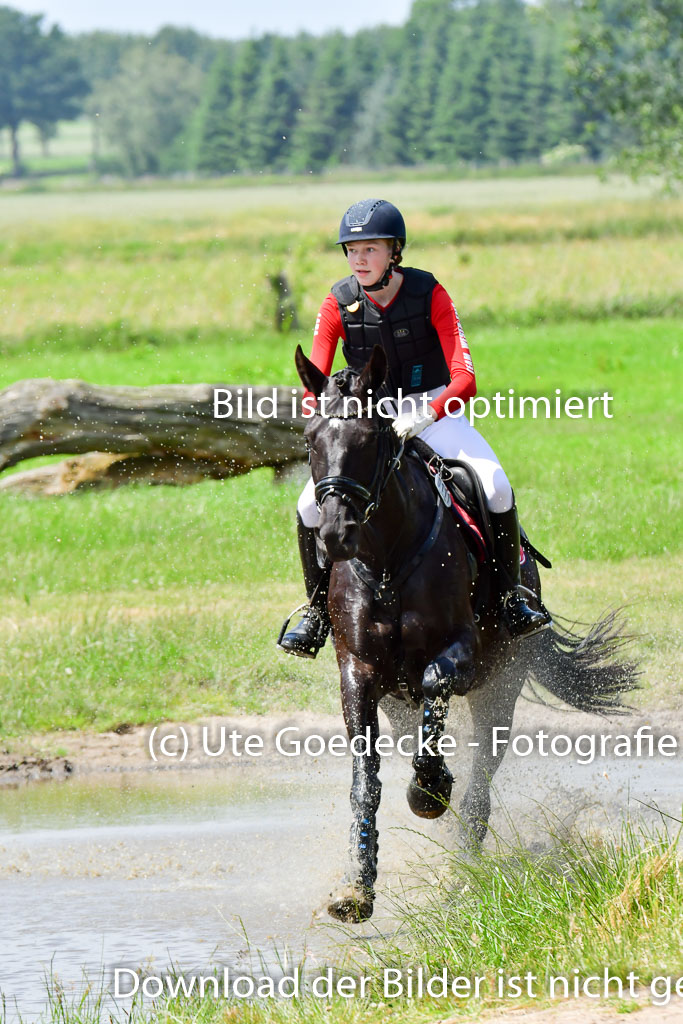 Goldene Schärpe PFerde  in Löningen  11+12.6.22 | 11062022 - Gelände 145 Abt