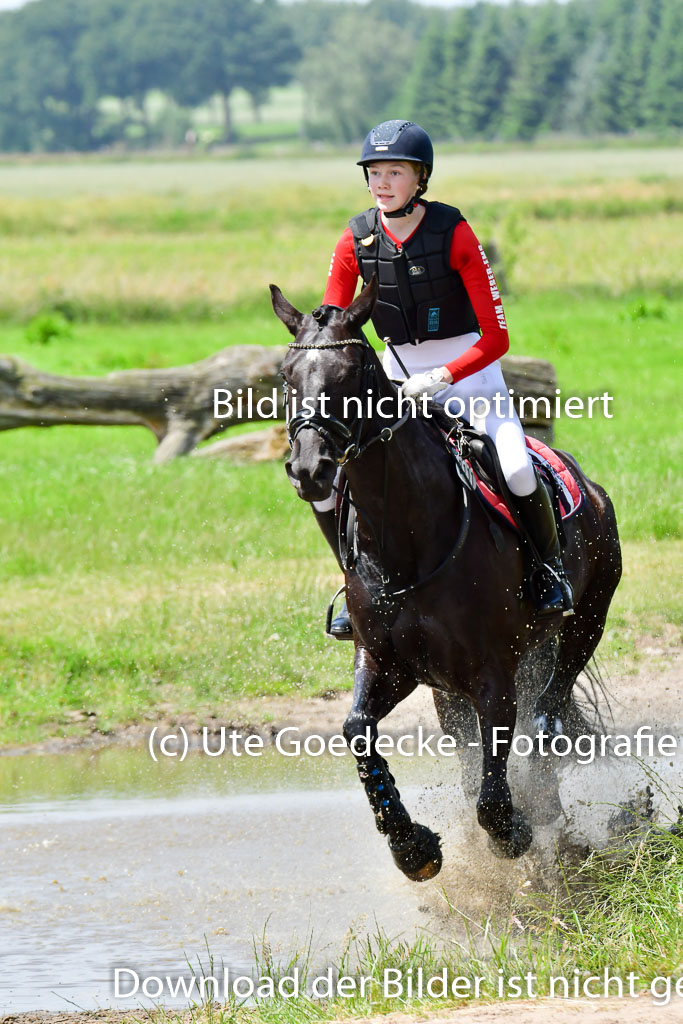 Goldene Schärpe PFerde  in Löningen  11+12.6.22 | 11062022 - Gelände 146 Abt