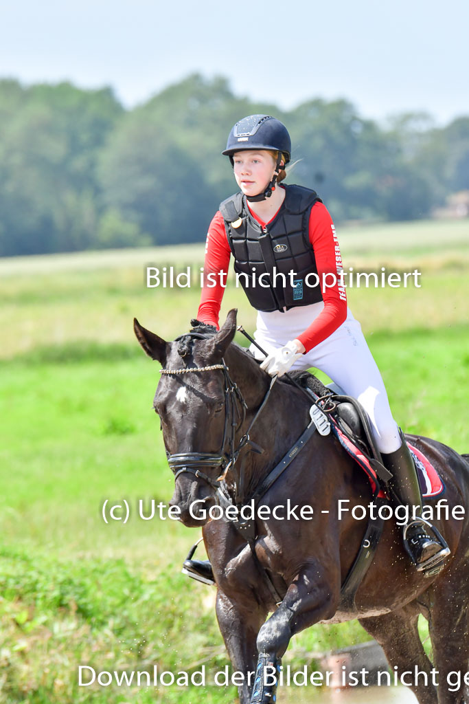 Goldene Schärpe PFerde  in Löningen  11+12.6.22 | 11062022 - Gelände 148 Abt