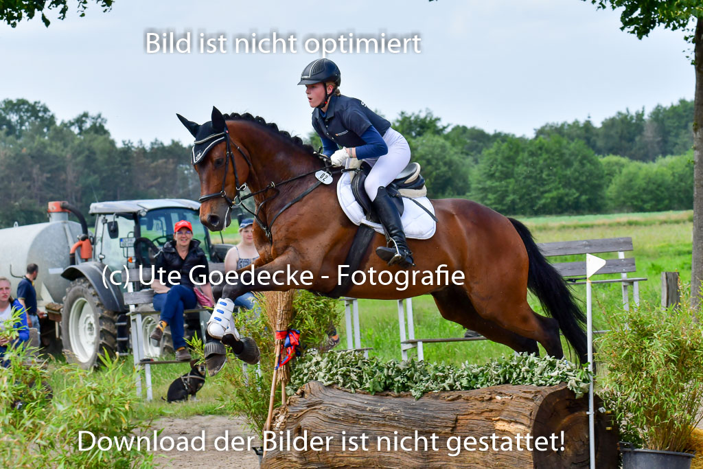 Goldene Schärpe PFerde  in Löningen  11+12.6.22 | 11062022 - Gelände 15 Abt